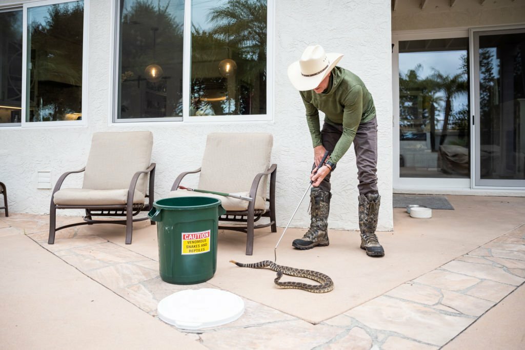 Snake Removal Service in Willamette Valley OR